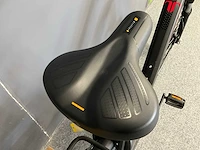 Amslod newton f-lv elektrische fiets - afbeelding 5 van  12