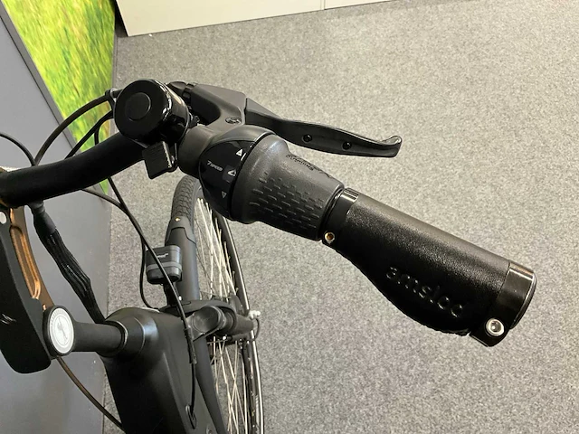 Amslod newton f-lv elektrische fiets - afbeelding 7 van  12