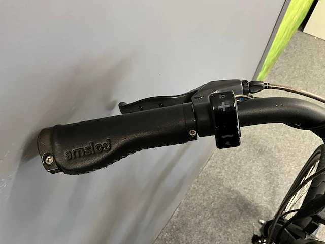 Amslod newton f-lv elektrische fiets - afbeelding 8 van  12