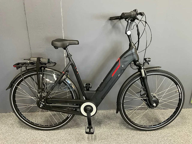 Amslod newton f-lv elektrische fiets - afbeelding 1 van  11