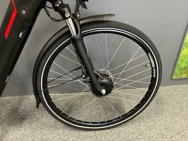 Amslod newton f-lv elektrische fiets - afbeelding 2 van  11
