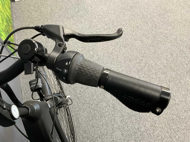 Amslod newton f-lv elektrische fiets - afbeelding 7 van  11