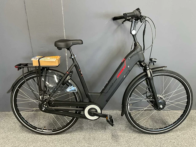 Amslod newton f-lv elektrische fiets - afbeelding 1 van  11