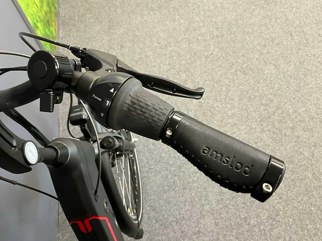 Amslod newton f-lv elektrische fiets - afbeelding 7 van  11