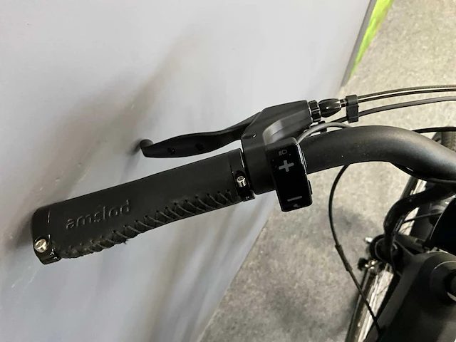 Amslod newton f-lv elektrische fiets - afbeelding 8 van  11