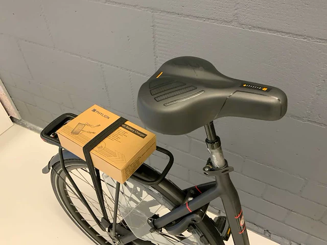 Amslod newton f-lv elektrische fiets - afbeelding 7 van  7