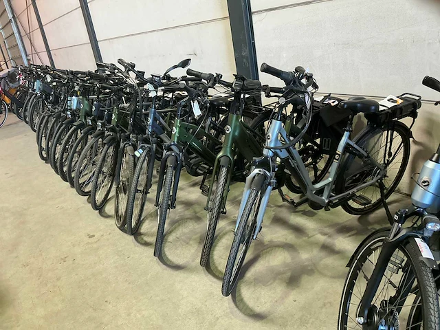 Amslod reparatie elektrische fiets (14x) - afbeelding 1 van  10