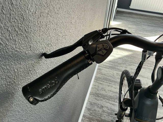 Amslod wellington e-md elektrische fiets - afbeelding 9 van  11