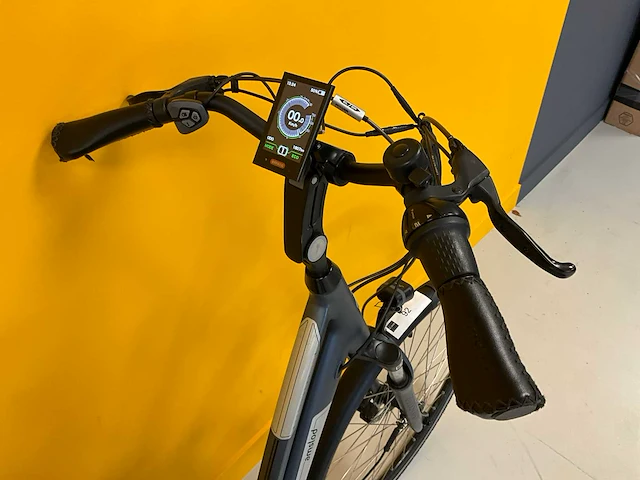 Amslod wellington m rx elektrische damesfiets 53cm - afbeelding 6 van  10
