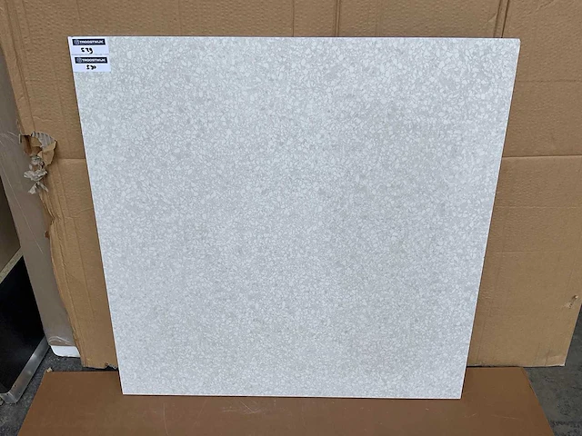 Anatolia station ivory 80x80 cm tegel 30,72 m² - afbeelding 1 van  3