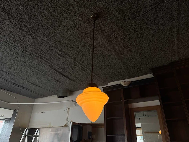 Andy thornton - hanglamp (5x) - afbeelding 4 van  8