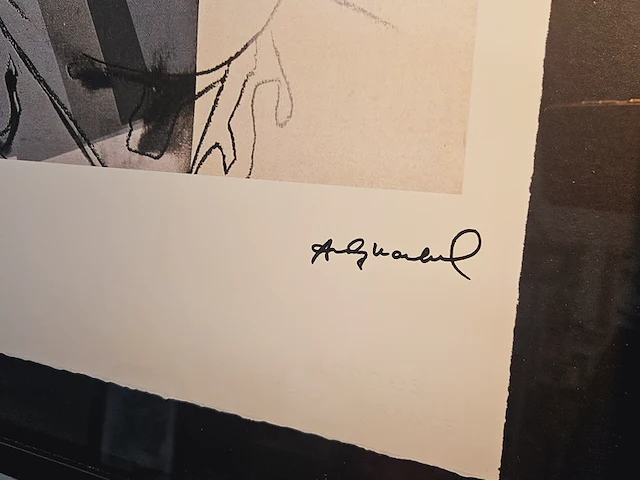 Andy warhol - lithograaf - ''albert einstein'' in nieuwe lijst - afbeelding 3 van  6