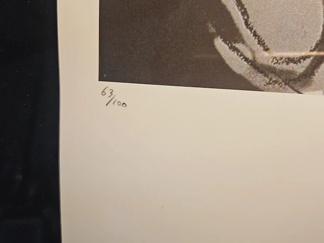 Andy warhol - lithograaf - ''albert einstein'' in nieuwe lijst - afbeelding 4 van  6