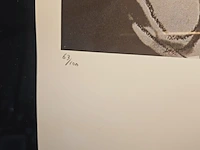 Andy warhol - lithograaf - ''albert einstein'' in nieuwe lijst - afbeelding 4 van  6