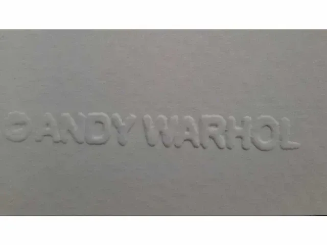 Andy warhol - afbeelding 4 van  5