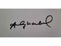 Andy warhol - afbeelding 2 van  5