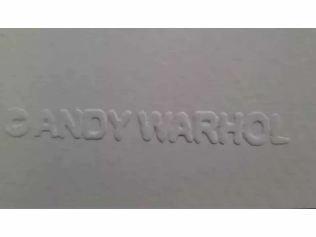Andy warhol - afbeelding 3 van  5