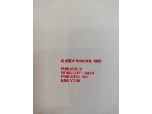 Andy warhol - afbeelding 3 van  4