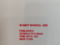 Andy warhol - afbeelding 3 van  4