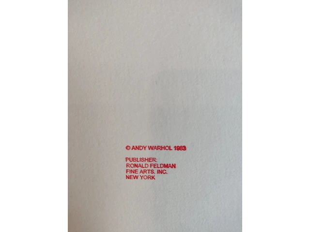 Andy warhol - afbeelding 2 van  3