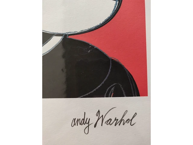 Andy warhol - afbeelding 3 van  4