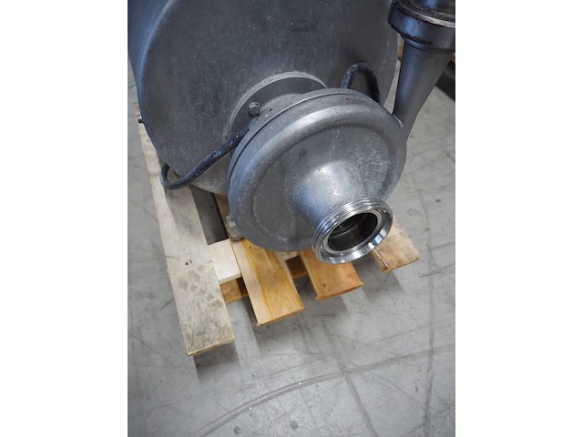 Anema - afbeelding 4 van  5