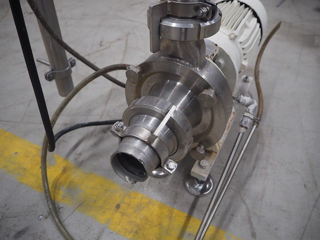 Anema - afbeelding 6 van  10