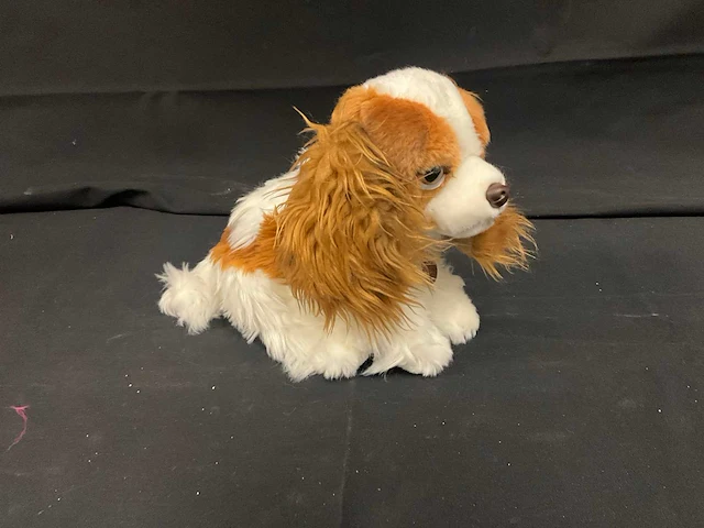 Annaclub plush king charles knuffel (24x) - afbeelding 1 van  8