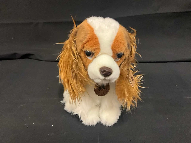 Annaclub plush king charles knuffel (24x) - afbeelding 3 van  8