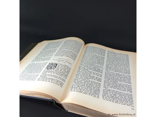 Antiek boek bijbelse geschiedenis voor het katholieke gezin - afbeelding 5 van  5