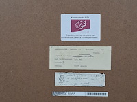 Aquarel, hans van der schaaf, boslaan 1, 1969 - afbeelding 7 van  7