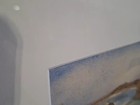 Aquarel, hofman - afbeelding 6 van  9