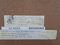 Aquarel, j. kuyper, langs het ij bok - afbeelding 7 van  7