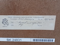 Aquarel, m. h. e. slangen, landschap met regenboog - afbeelding 8 van  8