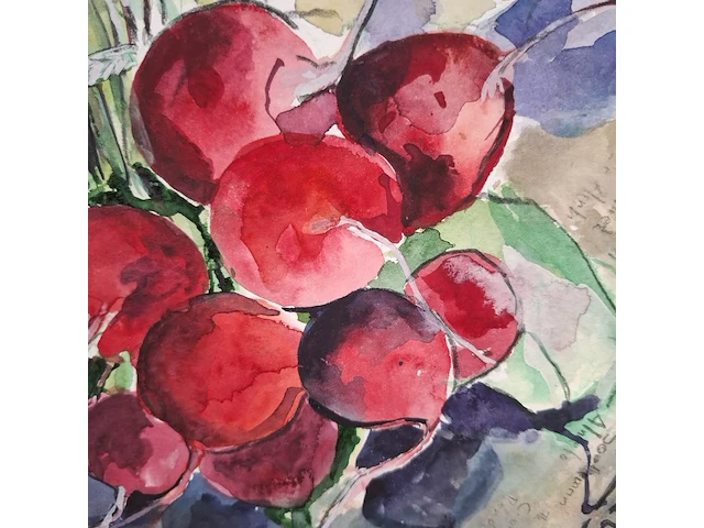 Aquarel, maya wildevuur, bos radijs op krant, 1996 - afbeelding 2 van  9
