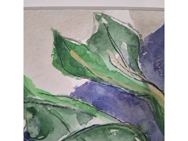 Aquarel, maya wildevuur, bos radijs op krant, 1996 - afbeelding 3 van  9