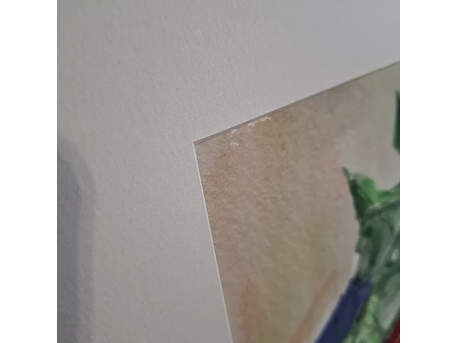 Aquarel, maya wildevuur, bos radijs op krant, 1996 - afbeelding 6 van  9
