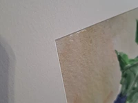 Aquarel, maya wildevuur, bos radijs op krant, 1996 - afbeelding 6 van  9