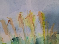 Aquarel, maya wildevuur, waterland, 1990 - afbeelding 3 van  9