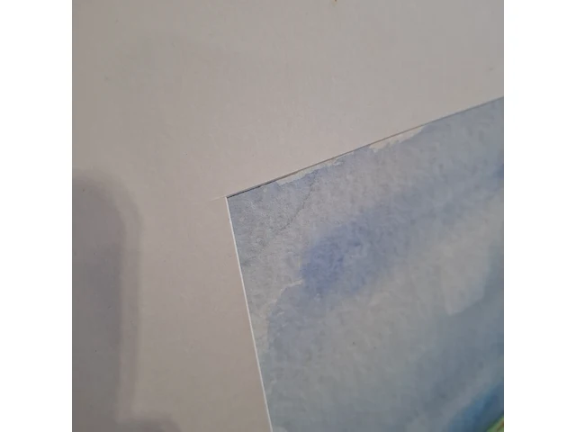 Aquarel, maya wildevuur, waterland, 1990 - afbeelding 6 van  9
