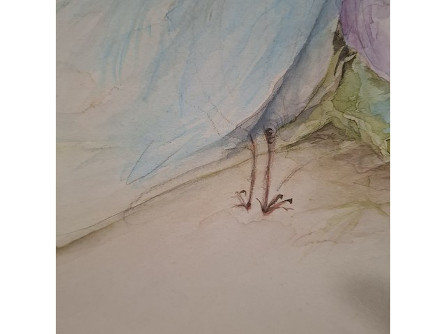 Aquarel, p. hovens greve, vogelpersonen, 1979 - afbeelding 7 van  10