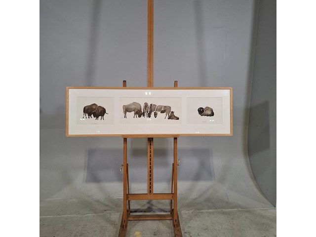 Aquarel, sonja dwinger, bizons - afbeelding 1 van  9