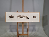 Aquarel, sonja dwinger, bizons - afbeelding 1 van  9