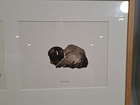 Aquarel, sonja dwinger, bizons - afbeelding 2 van  9