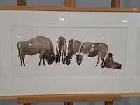 Aquarel, sonja dwinger, bizons - afbeelding 3 van  9