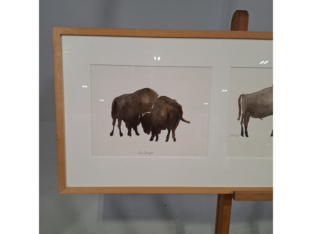 Aquarel, sonja dwinger, bizons - afbeelding 4 van  9