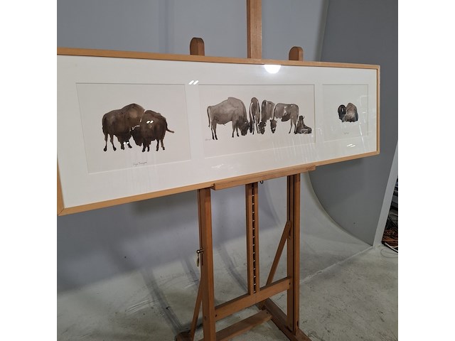 Aquarel, sonja dwinger, bizons - afbeelding 5 van  9