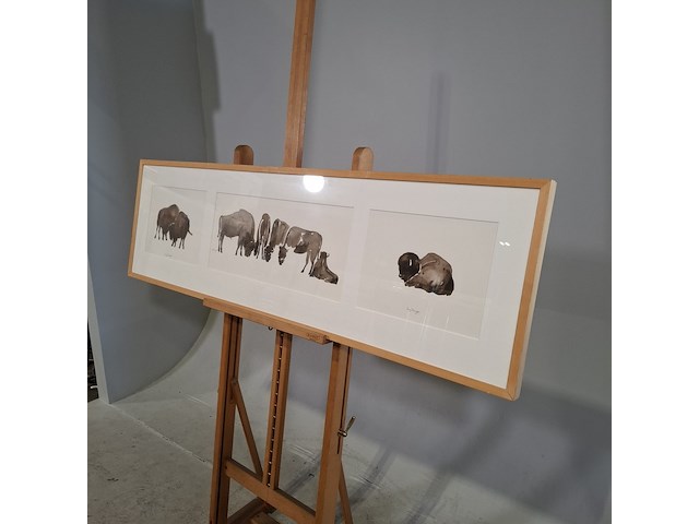 Aquarel, sonja dwinger, bizons - afbeelding 6 van  9