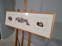 Aquarel, sonja dwinger, bizons - afbeelding 6 van  9