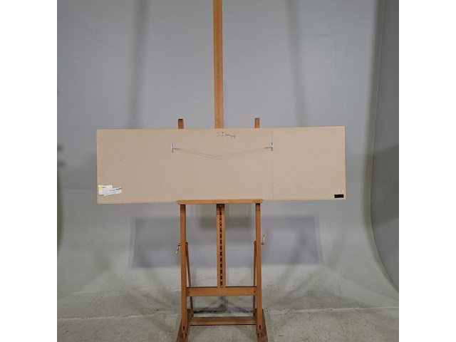 Aquarel, sonja dwinger, bizons - afbeelding 7 van  9